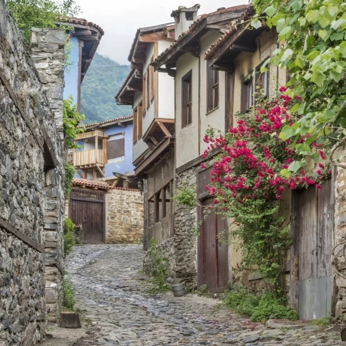 الإفطار والتوجه  إلى بورصة