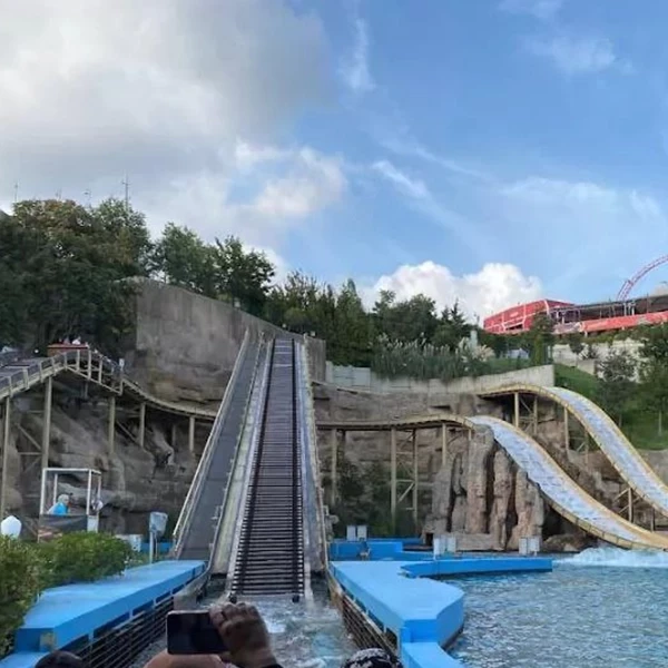 الإفطار والتوجه نحو متحف السيارات الشهير