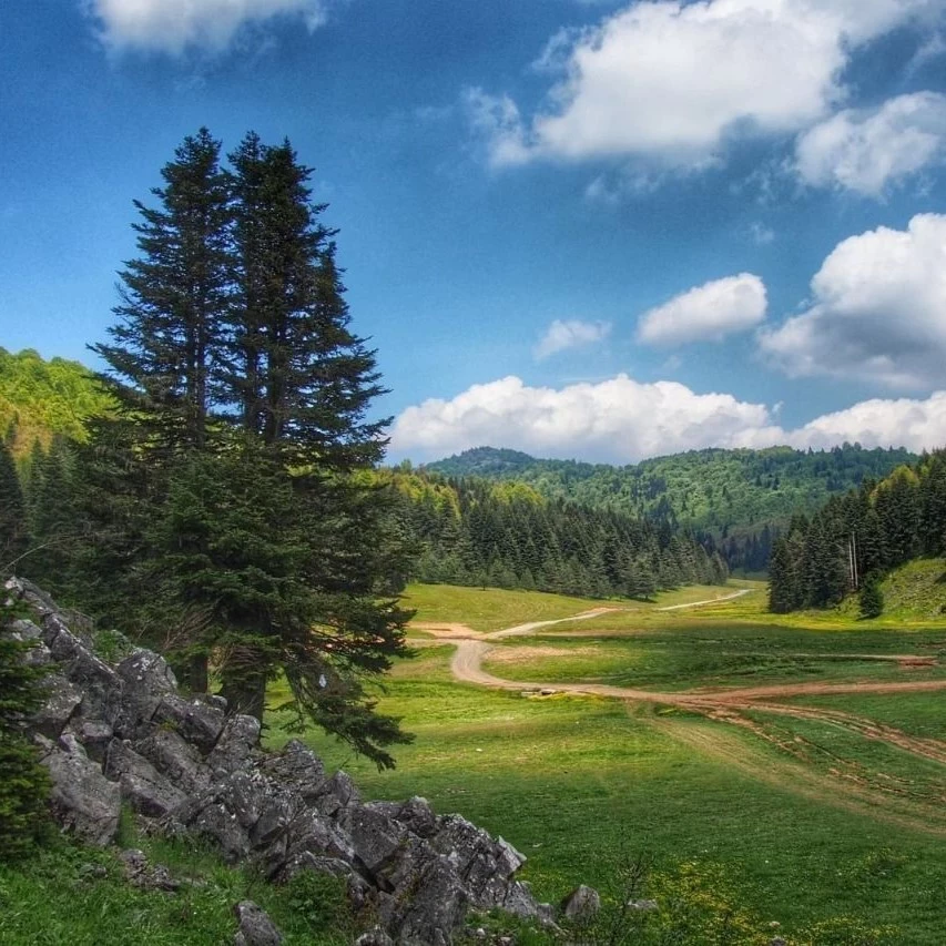Breakfast and head to the charming Sakarya area