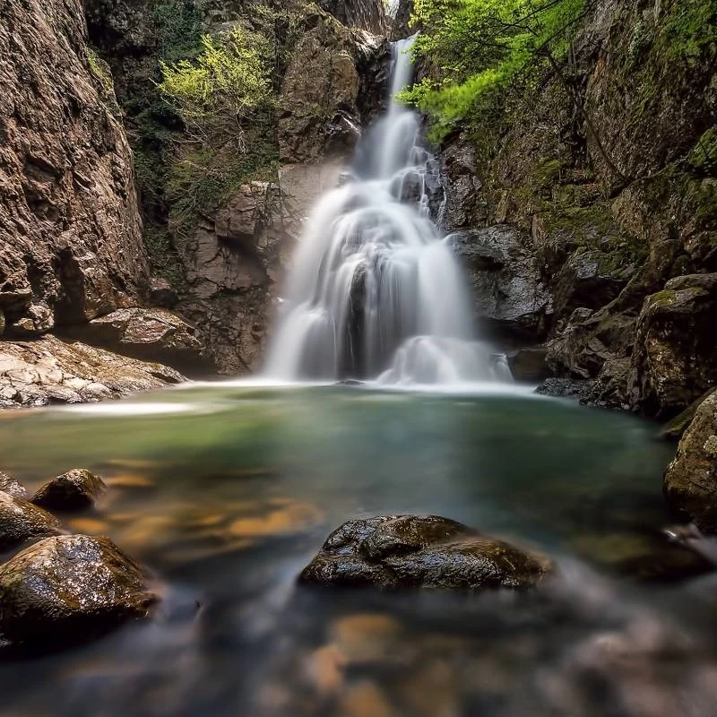 Breakfast and heading to visit Sudshan Falls