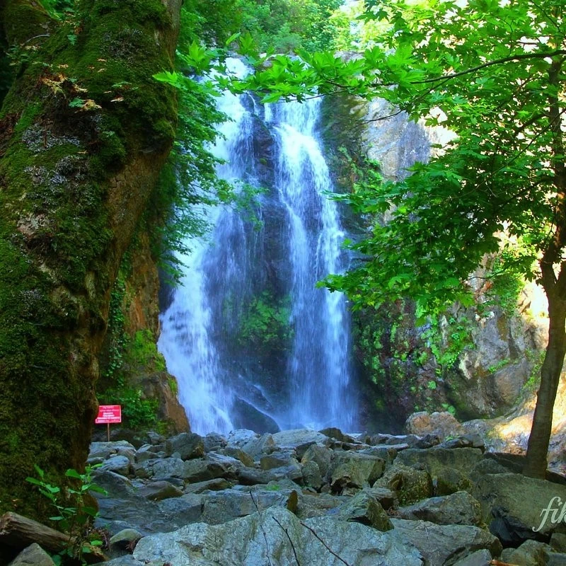 Breakfast and heading to visit Sudshan Falls