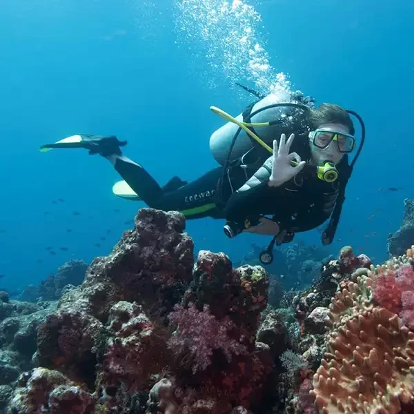 زيارة مراكز الغوص