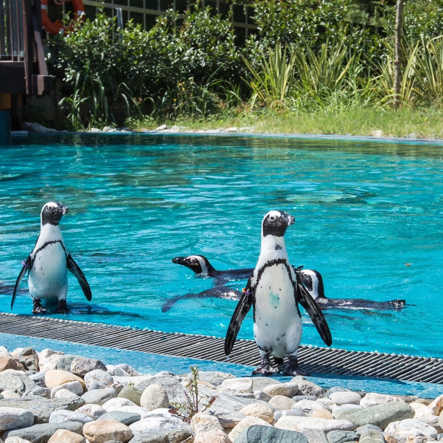 فيابورت مارينا