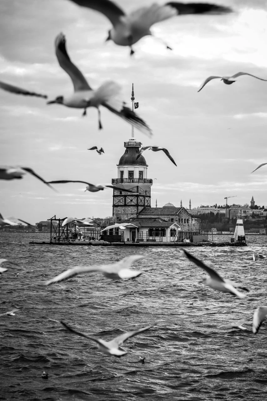 جولة برج العذراء مع دليل صوتي