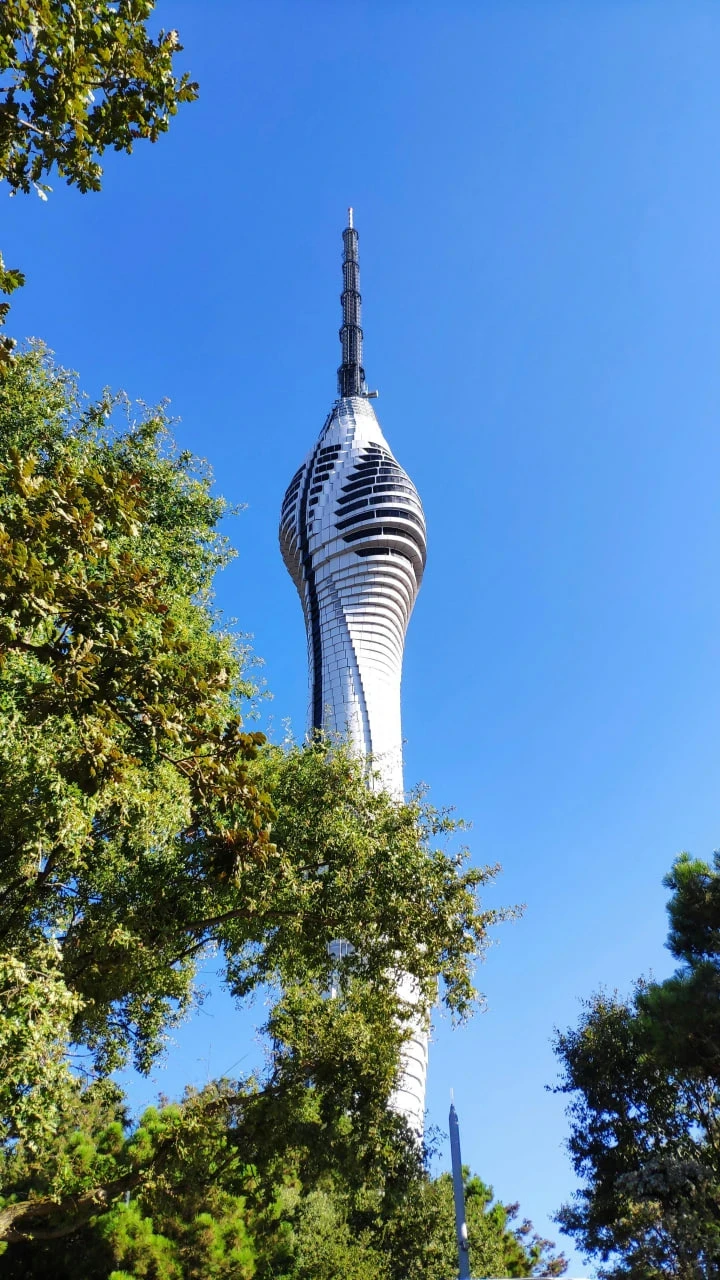 جولة برج تشامليجا