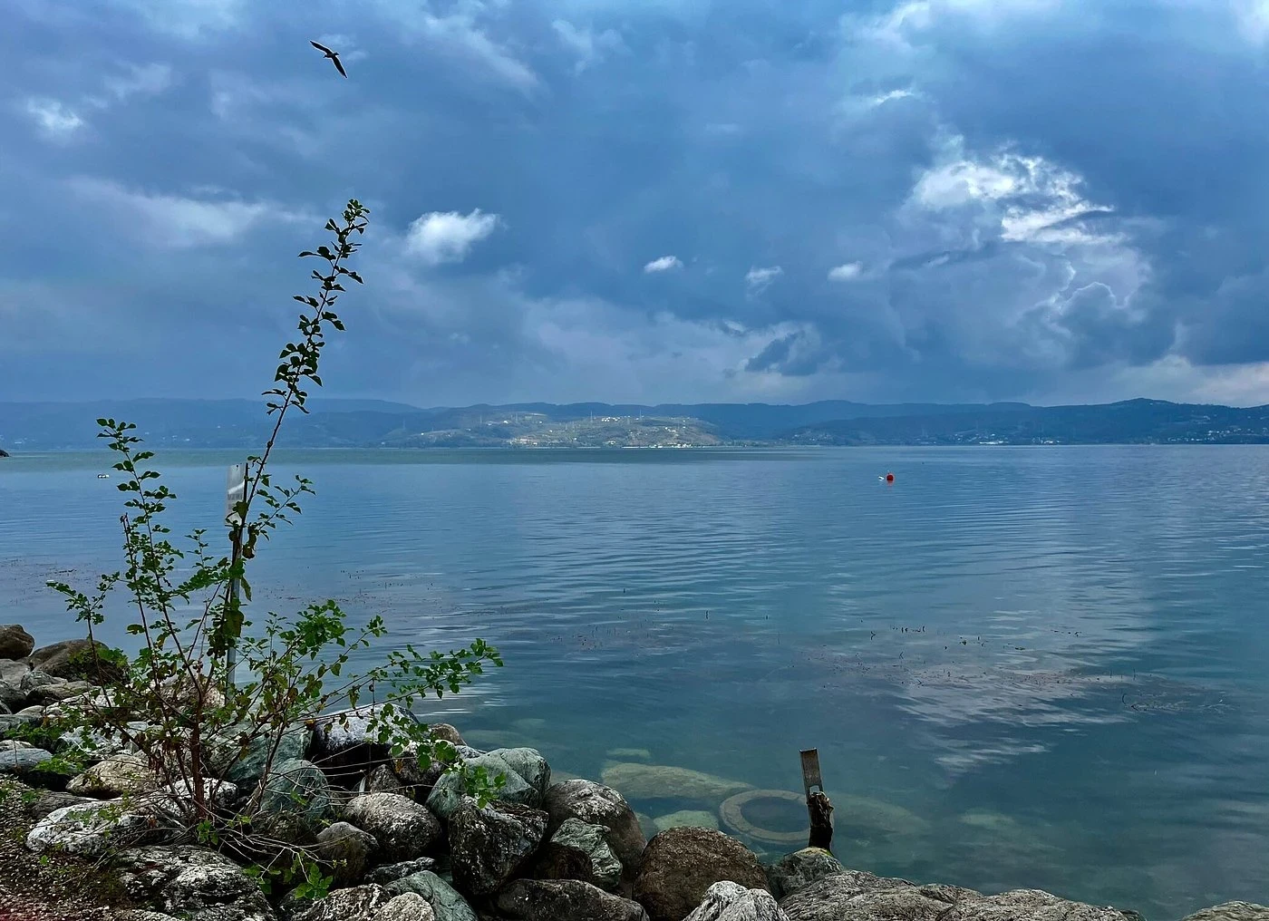 Sapanca Lake and Maşukiye Tour