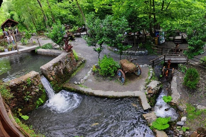 Sapanca Lake and Maşukiye Tour