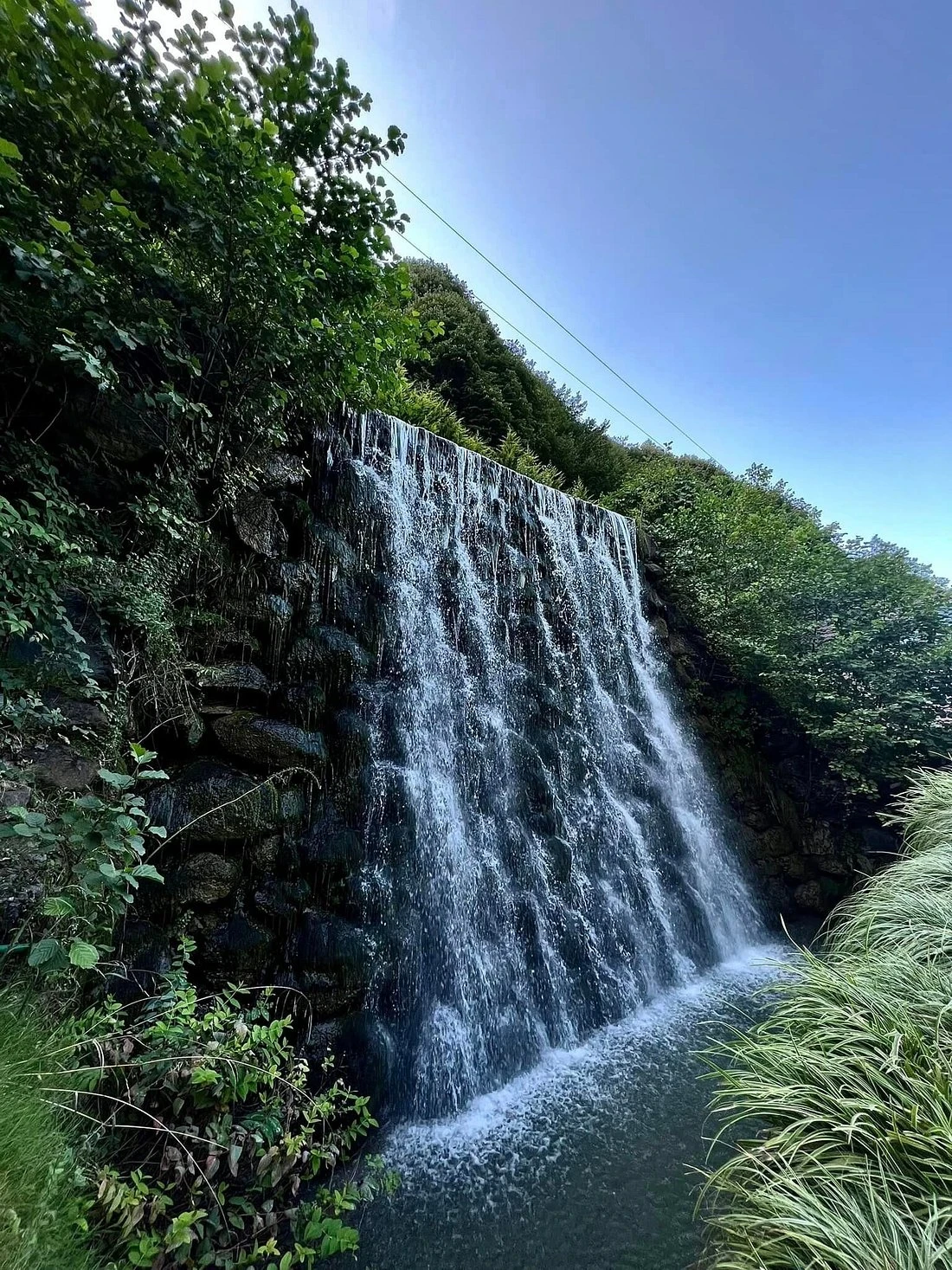 Sapanca Lake and Maşukiye Tour