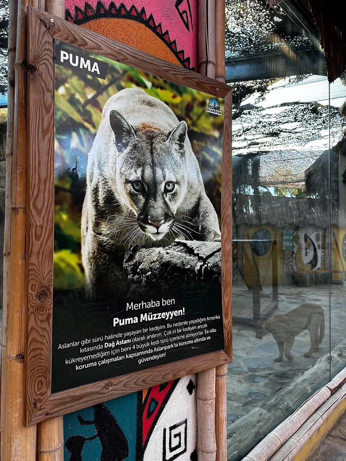 جولة حديقة الأسود في إسطنبول