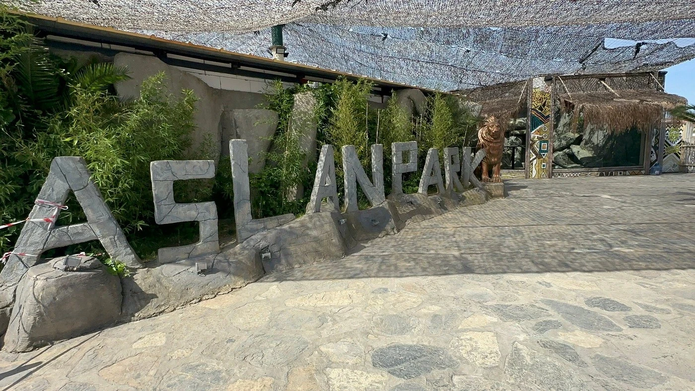 جولة حديقة الأسود في إسطنبول