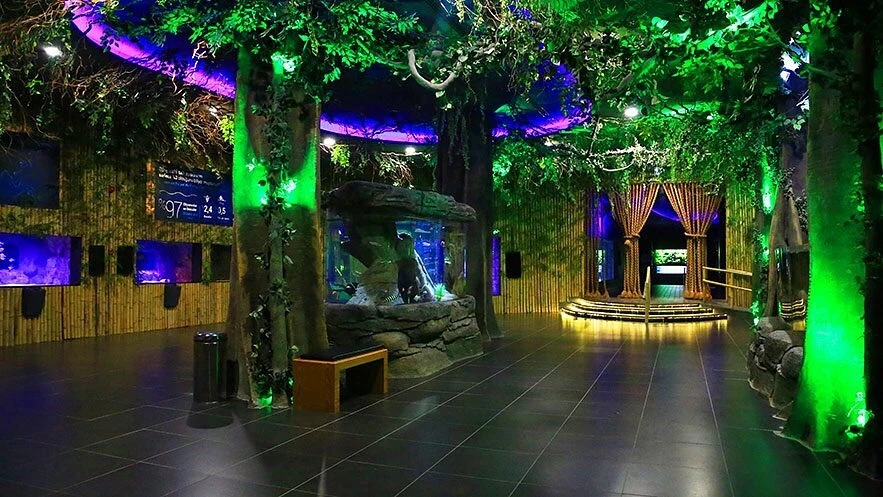 Viasea Aquarium & Crocodile Park Tour