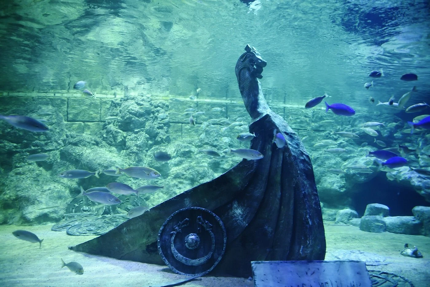 Viasea Aquarium & Crocodile Park Tour