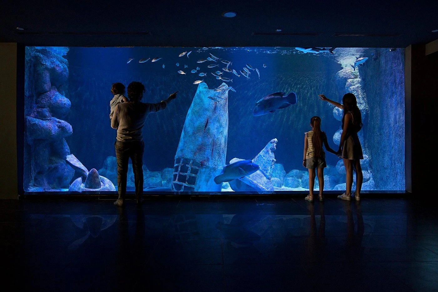 Viasea Aquarium & Crocodile Park Tour