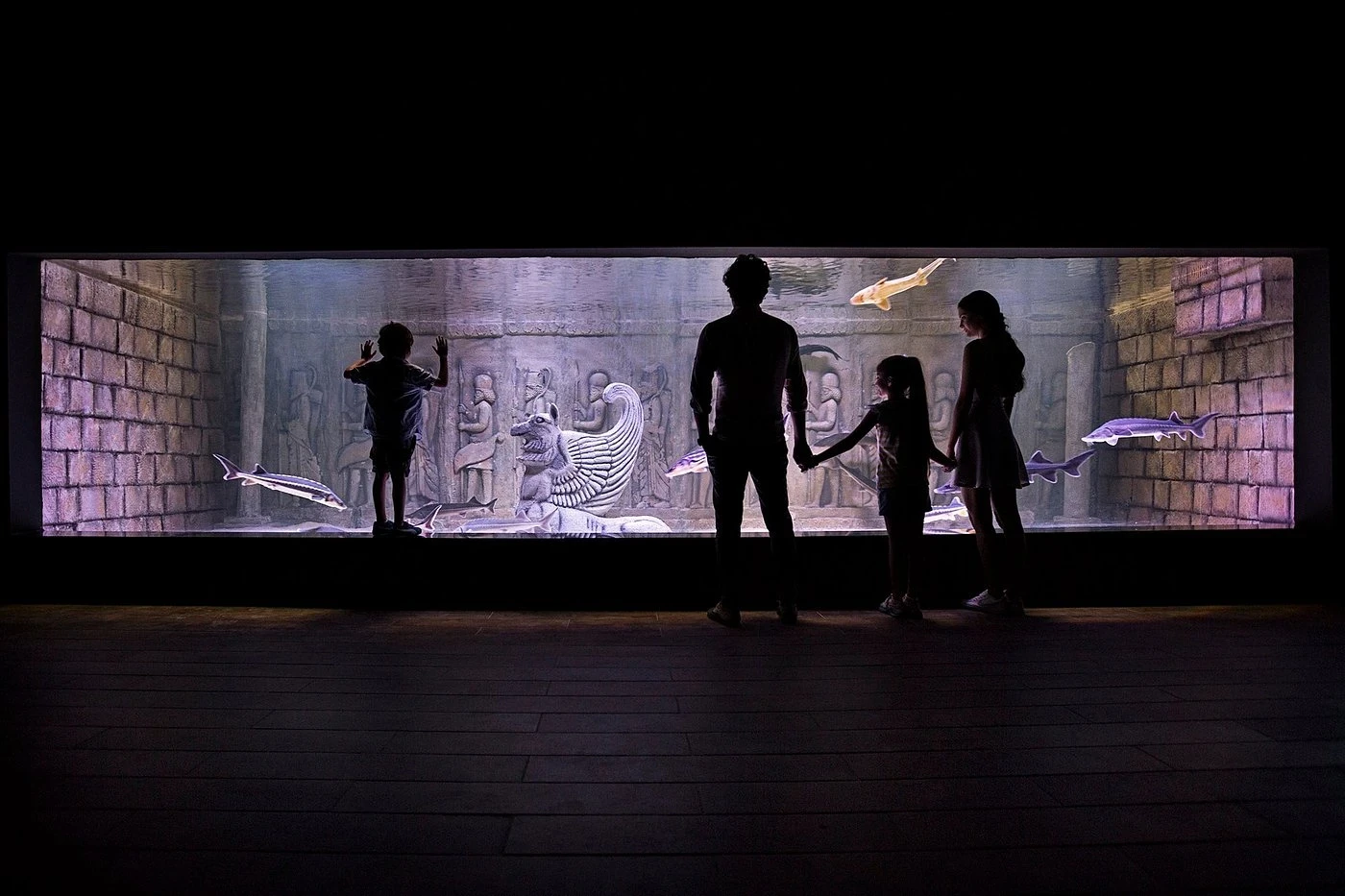 Viasea Aquarium & Crocodile Park Tour