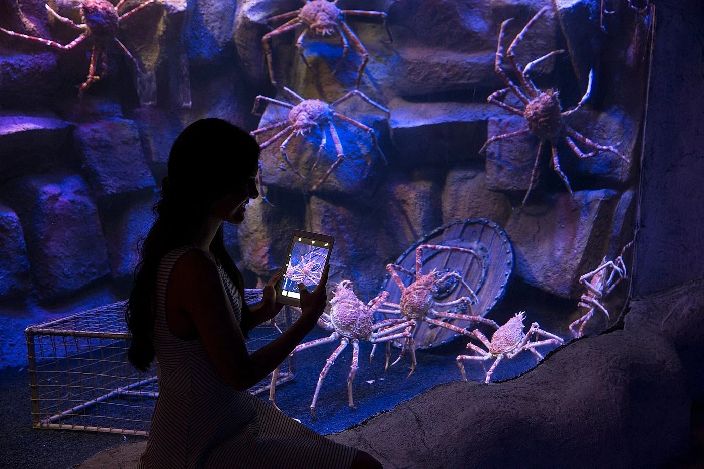 Viasea Aquarium & Crocodile Park Tour