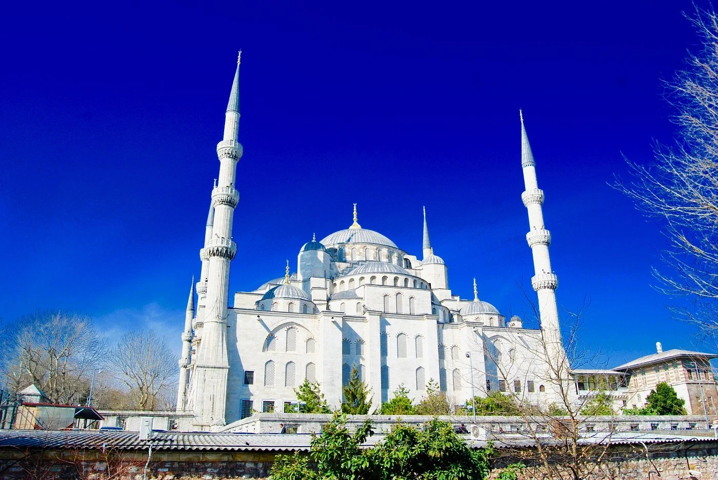 Blue Mosque Guided Tour