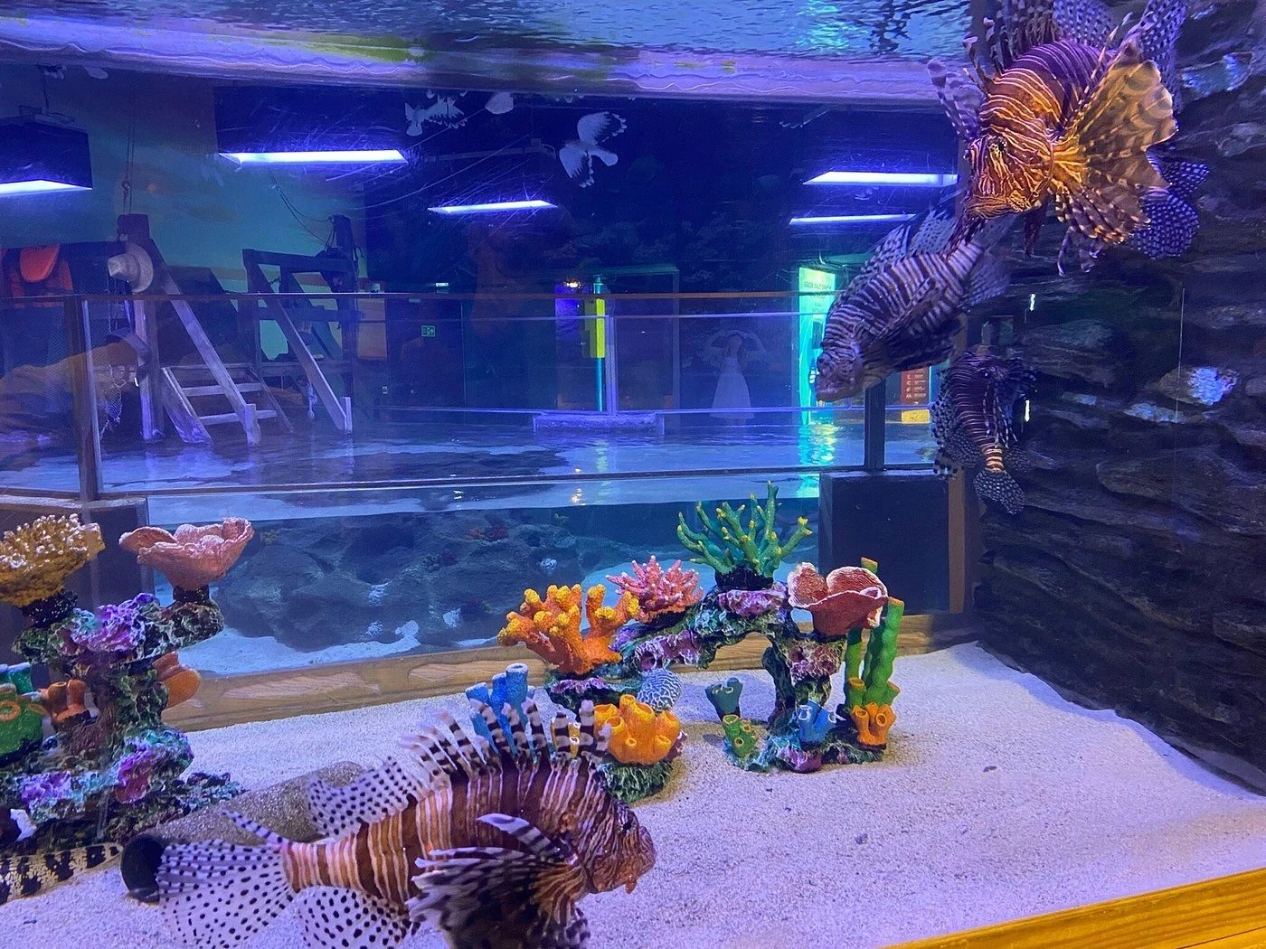 زيارة إعمار أكواريوم وحديقة الحيوانات المائية