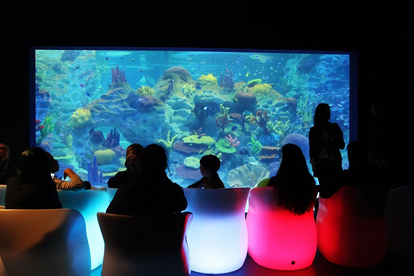 زيارة إعمار أكواريوم وحديقة الحيوانات المائية