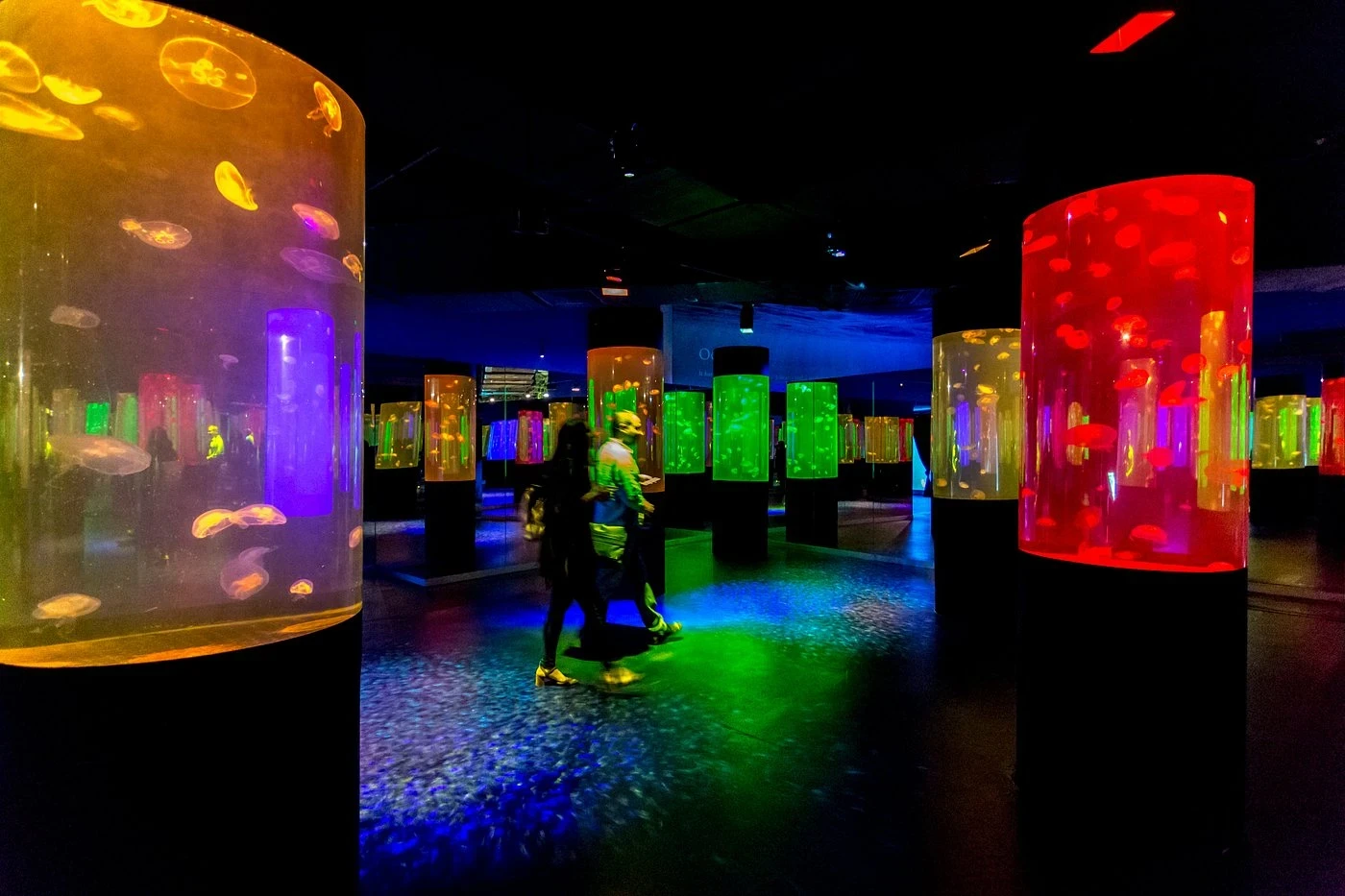 زيارة إعمار أكواريوم وحديقة الحيوانات المائية