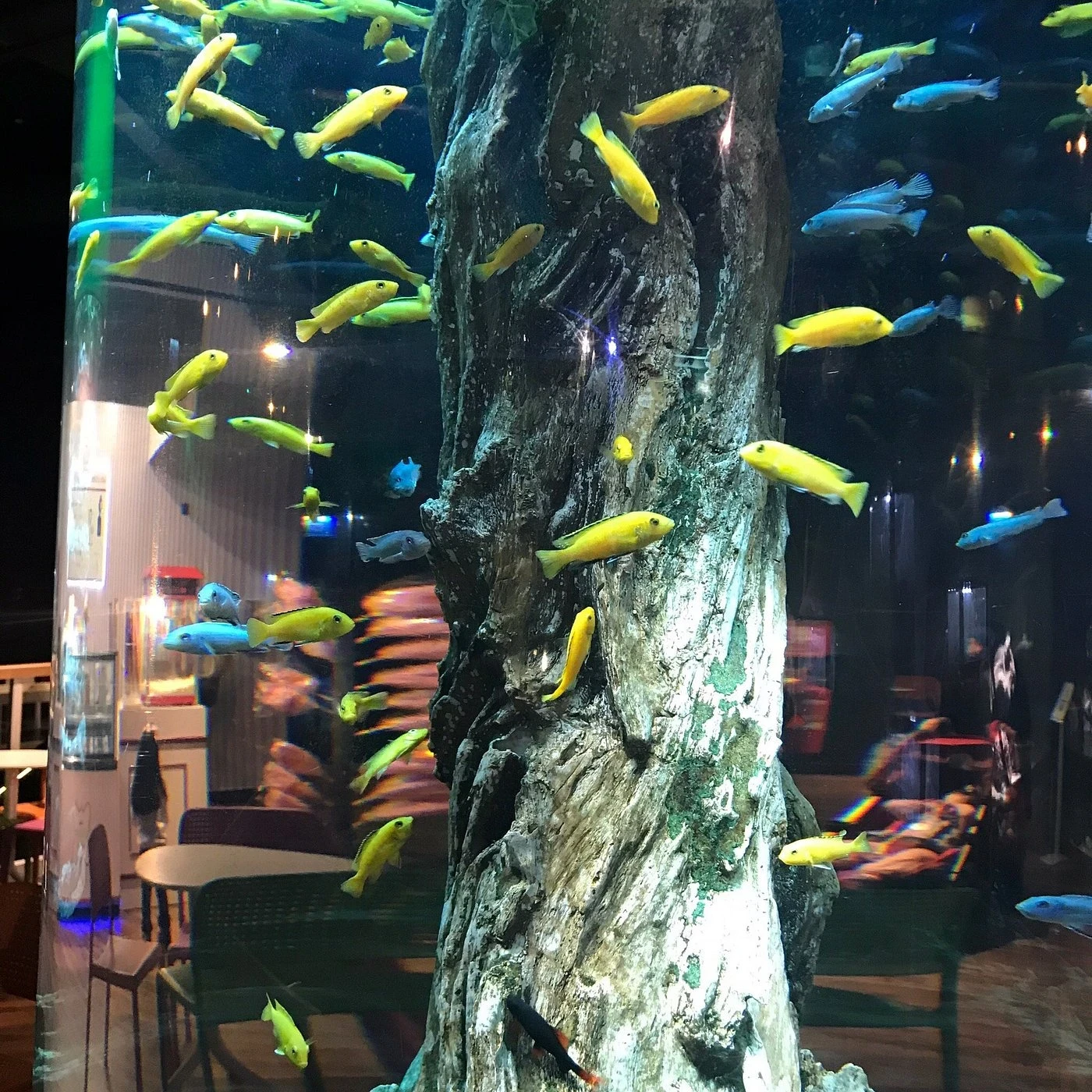 زيارة إعمار أكواريوم وحديقة الحيوانات المائية