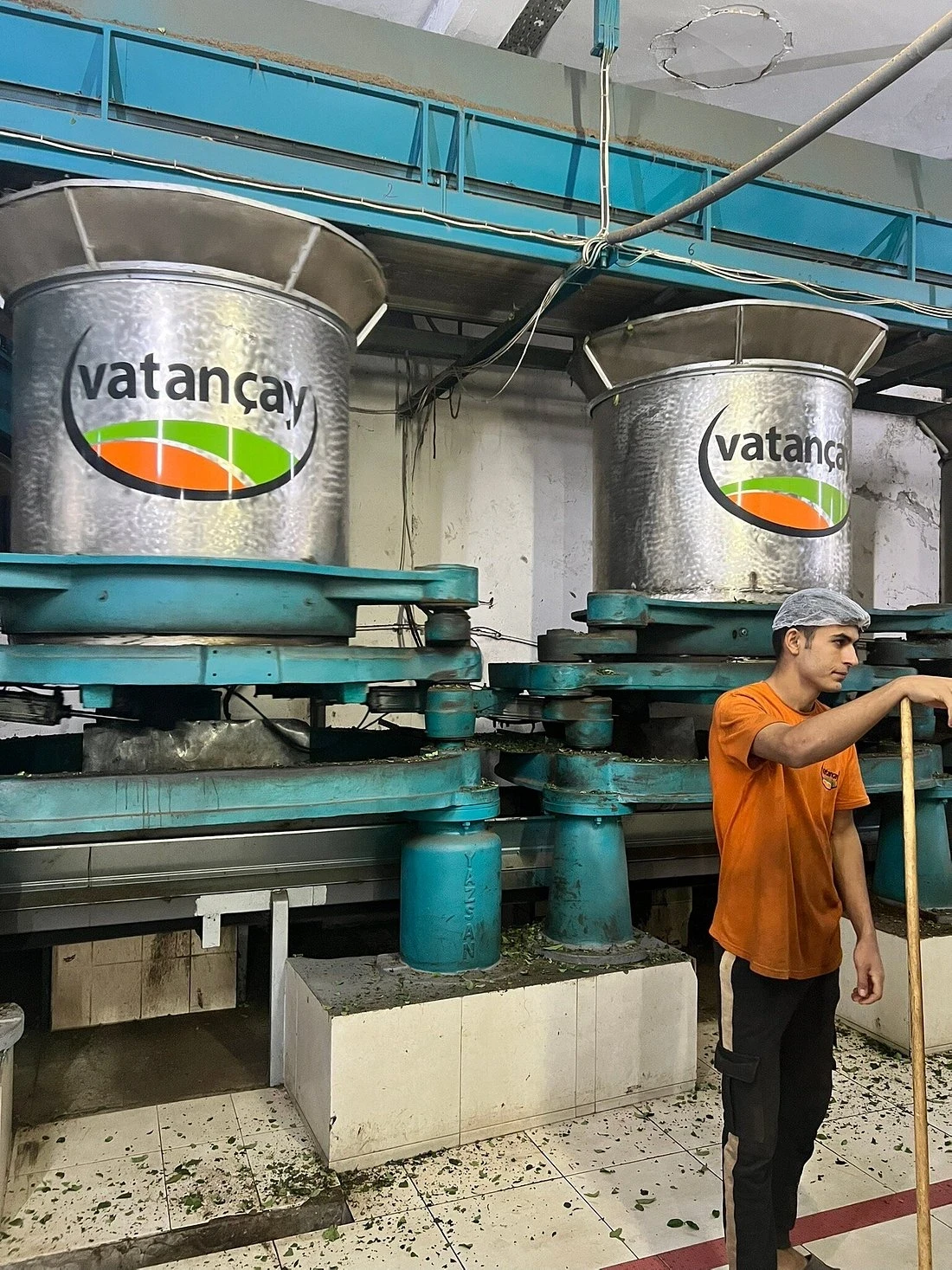 جولة بحيرة أوزنغول وزيارة مصنع الشاي