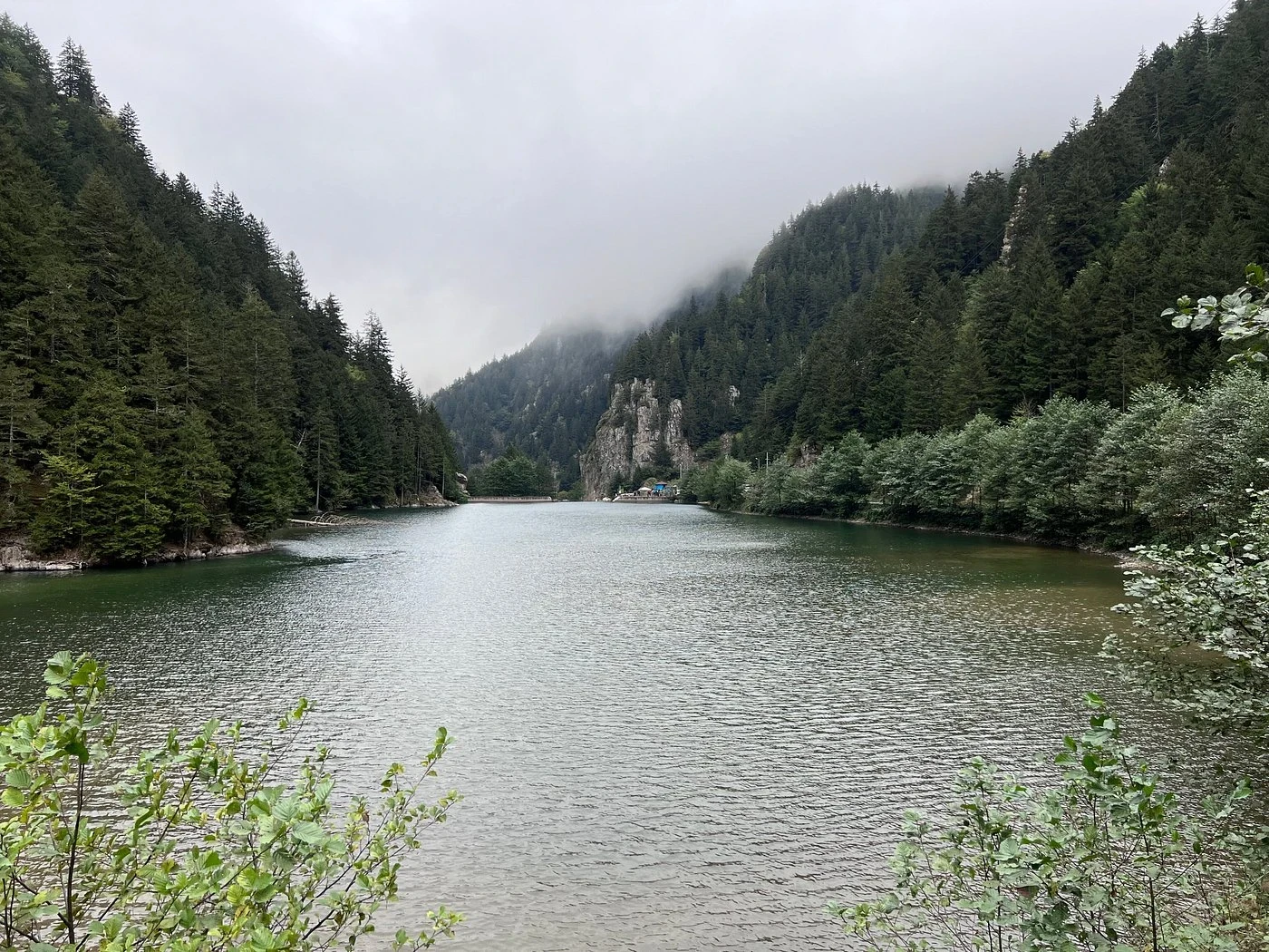 جولة بحيرة أوزنغول وزيارة مصنع الشاي