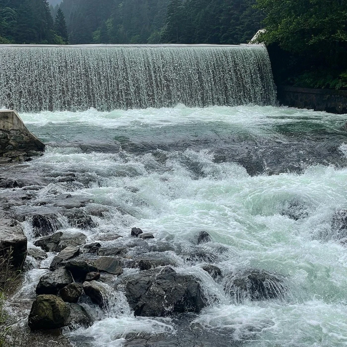 جولة بحيرة أوزنغول وزيارة مصنع الشاي