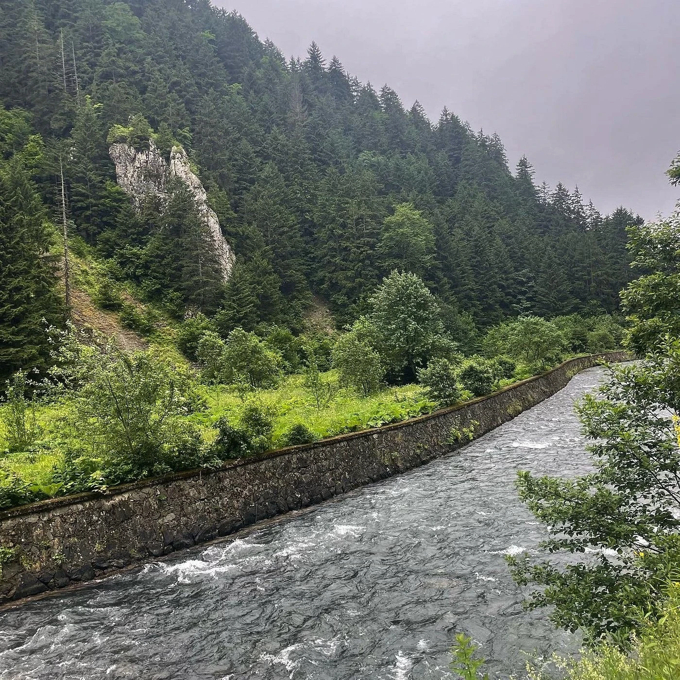 جولة بحيرة أوزنغول وزيارة مصنع الشاي