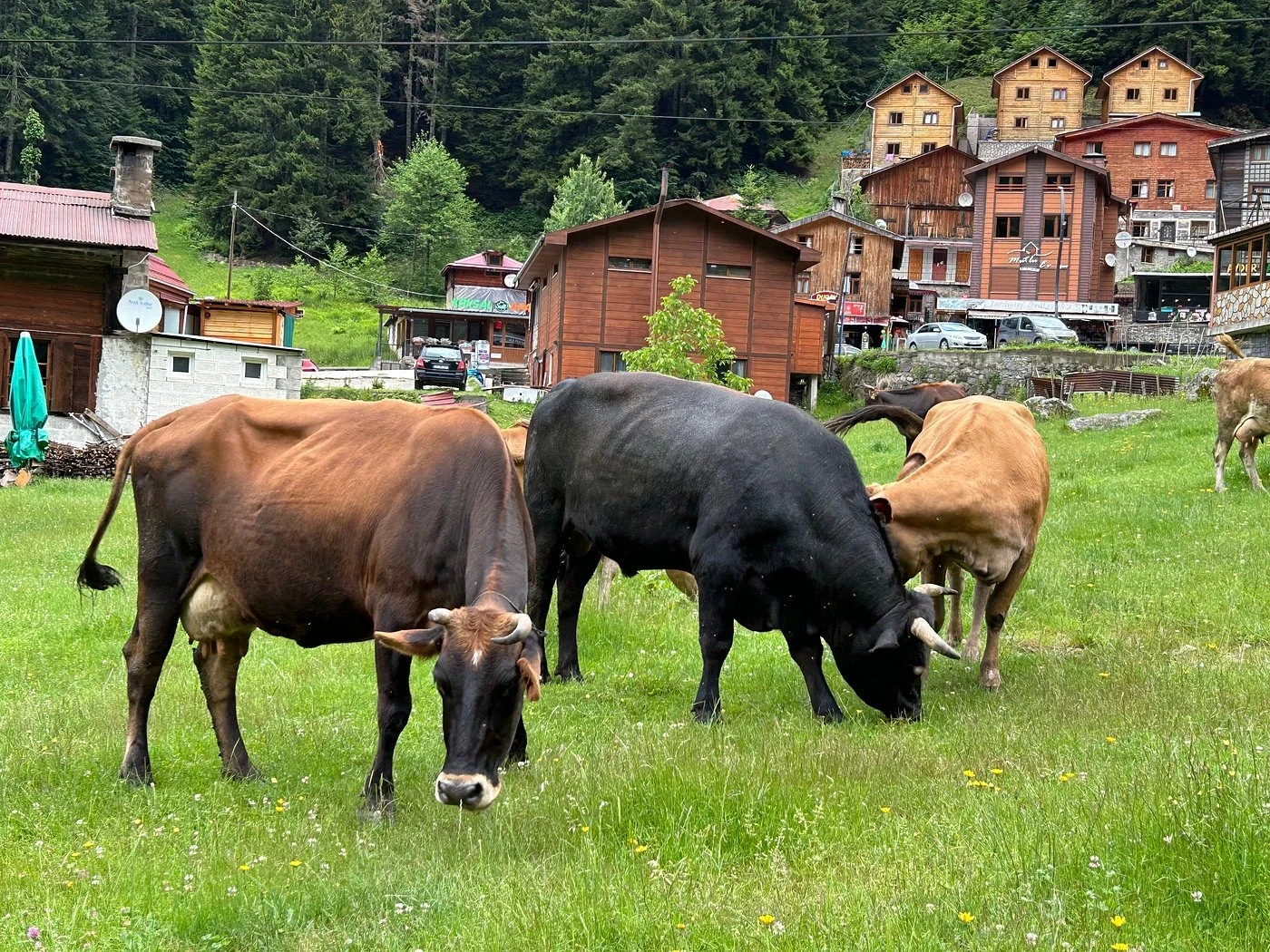 جولة مرتفعات آيدر ومغامرة وادي فيرتينا