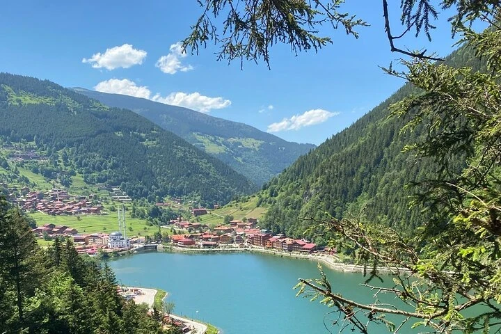 جولة أوزنغول الطبيعية وتجربة تذوق الشاي