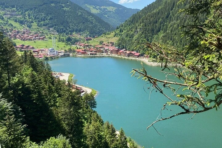 جولة أوزنغول الطبيعية وتجربة تذوق الشاي