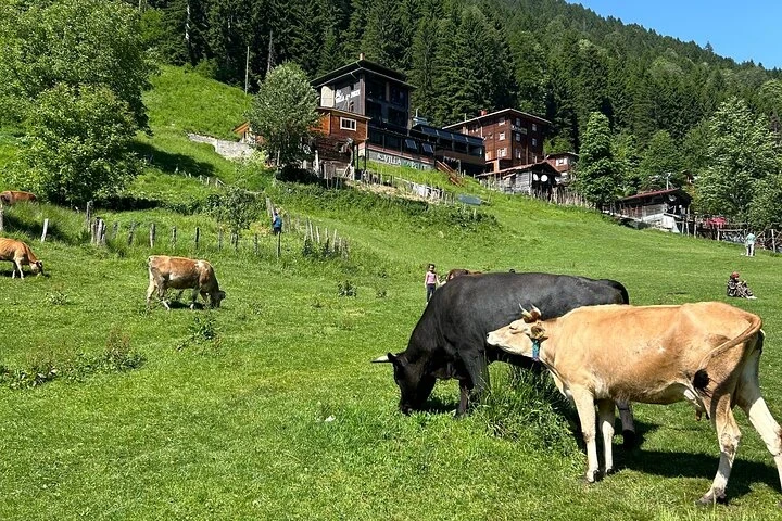 جولة ريزه وآيدر بين الجبال والنهر