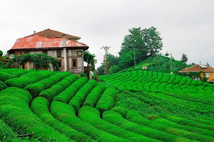 سحر البحر الأسود: رحلة ساحلية لمدة 5 أيام من طرابزون