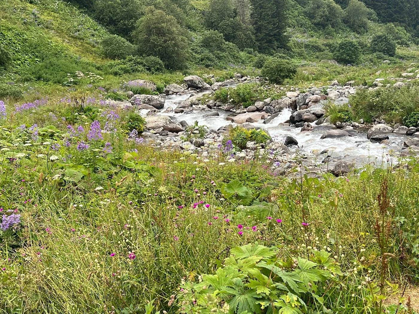 سحر البحر الأسود: رحلة ساحلية لمدة 5 أيام من طرابزون