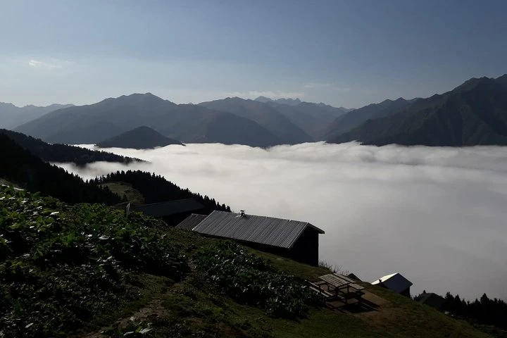 Organic Pokut Tour in Rize