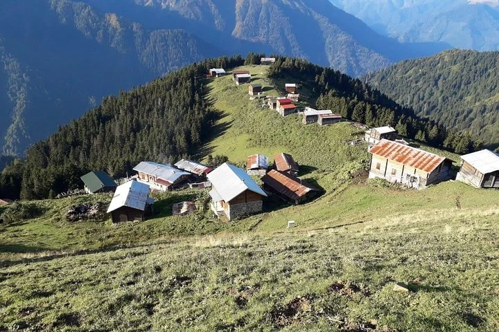 Organic Pokut Tour in Rize
