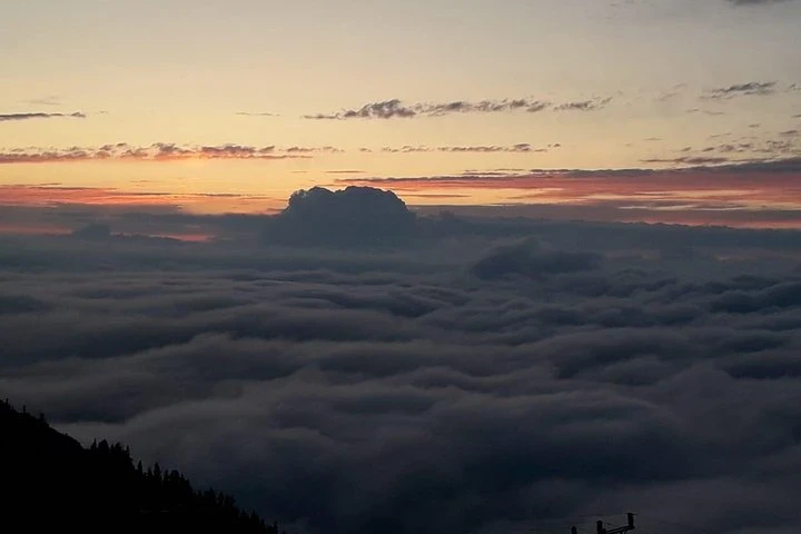 Organic Pokut Tour in Rize