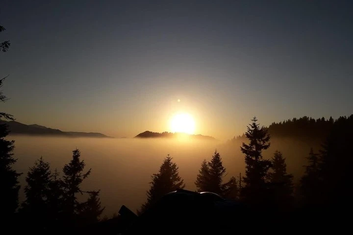 Organic Pokut Tour in Rize