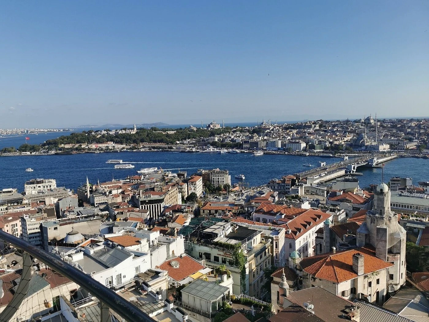 Organic Pokut Tour in Rize