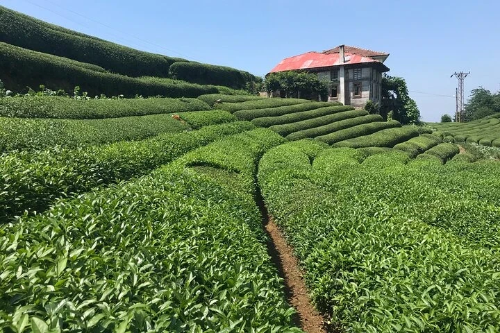 7-Day Private Tour Across Türkiye and Georgia