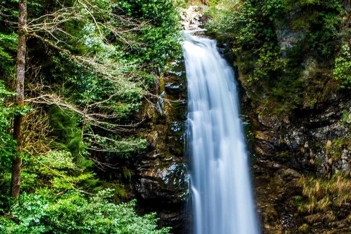 جولة بوتيك لمدة 5 أيام على ساحل البحر الأسود