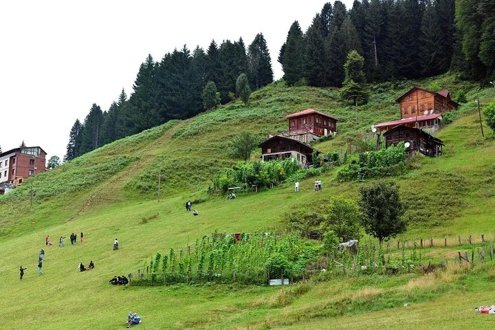 جولة بوتيك لمدة 5 أيام على ساحل البحر الأسود