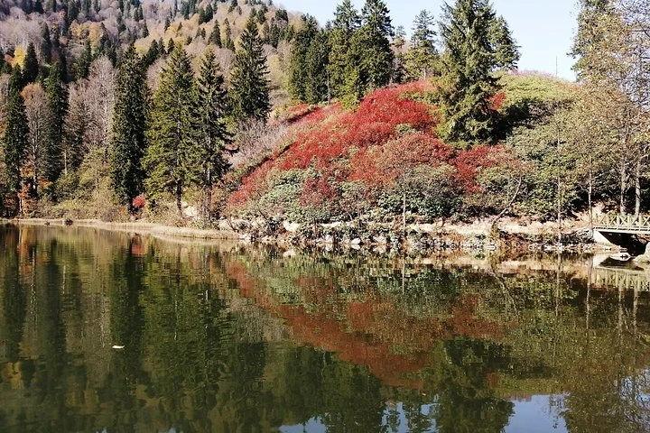 جولة بوتيك لمدة 5 أيام على ساحل البحر الأسود