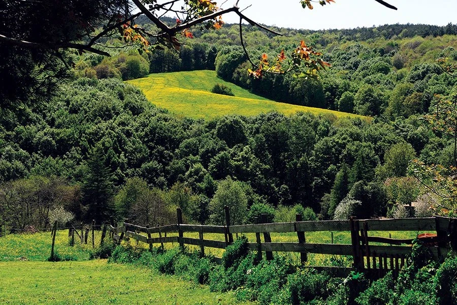 Polonezköy Village in Istanbul: A European Countryside Experience